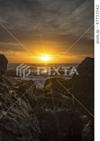 among the rocks.  47733542