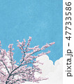 和風背景素材-和紙の風合い-桜-ソメイヨシノ-青空-雲 47733586