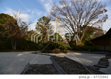 江戸川区　平成庭園 47733942