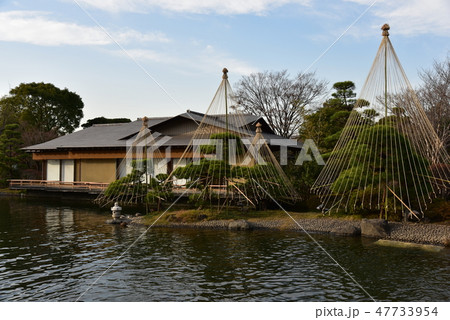 江戸川区　平成庭園 47733954