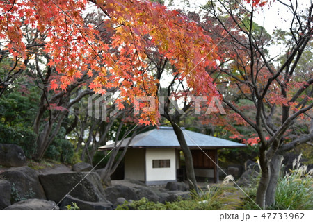 江戸川区 平成庭園 江戸川区 平成庭園 47733962