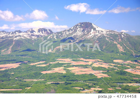 昆布岳から見る初夏のニセコ連峰 47734458