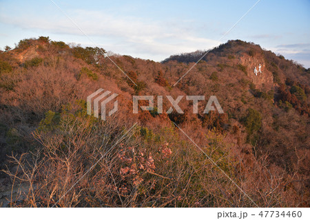 大小山 南側尾根から見る冬枯れの大小山 大小山 南側尾根から見る冬枯れの大小山 47734460