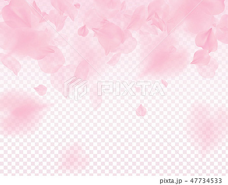 Pink sakura petals transparent background Pink sakura petals transparent background 47734533