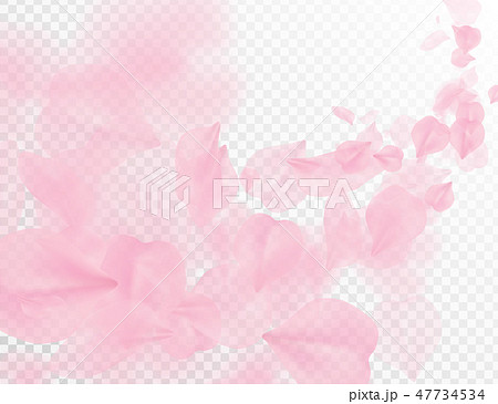 Sakura petal flying vector background. Pink flower 47734534