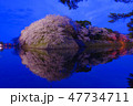 桜 47734711