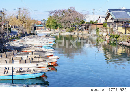 柳川 川下り 柳川 川下り 47734922