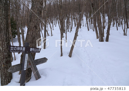 長野の百名山 蓼科山すずらん峠登山口付近道標 47735813