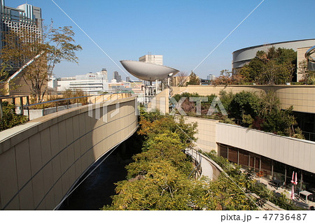 空中庭園なんばパークス 47736487