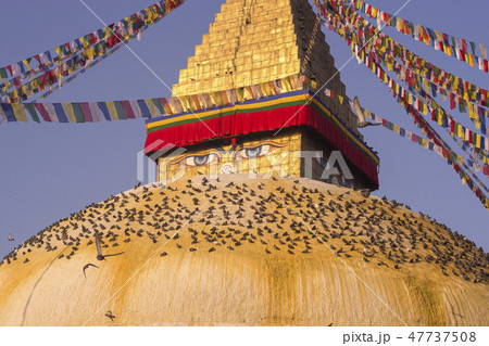 Boudhanath Stupa in Kathmandu, Nepal Boudhanath Stupa in Kathmandu, Nepal 47737508