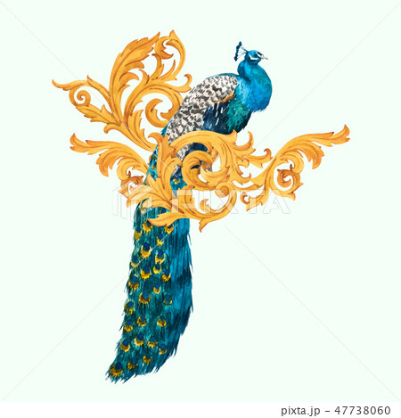 Watercolor peacock vector composition 47738060