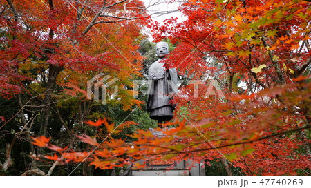油山寺　紅葉 47740269