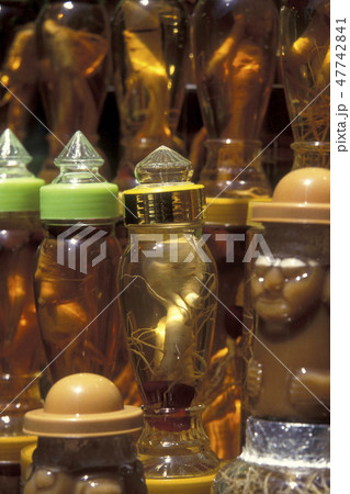 SOUTHKOREA SEOUL MARKET GINSENG SOUTHKOREA SEOUL MARKET GINSENG 47742841