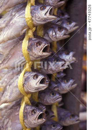 SOUTHKOREA SEOUL MARKET FISH 47743026