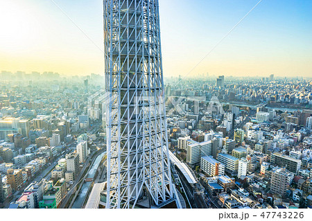 スカイツリーの根本 逆光 スカイツリーイーストタワーより 【東京都】 スカイツリーの根本 逆光 スカイツリーイーストタワーより 【東京都】 47743226