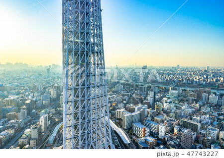 スカイツリーの根本 逆光 スカイツリーイーストタワーより 【東京都】 スカイツリーの根本 逆光 スカイツリーイーストタワーより 【東京都】 47743227
