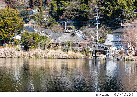 湯布院金鱗湖の風景 47743254