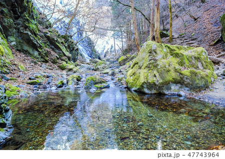 冬の尾之内渓谷 47743964