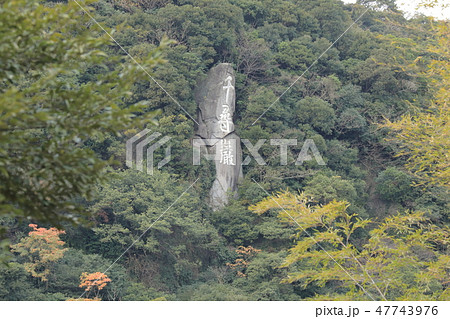 仙巌園 千尋巌 仙巌園 千尋巌 47743976