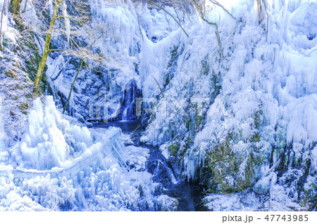 尾之内百景氷柱４ 47743985