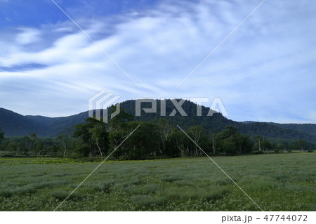 初夏の早朝の尾瀬ヶ原の風景 47744072