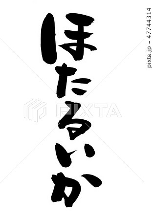 筆文字　ほたるいか　北陸　　食べ物　イラスト 47744314