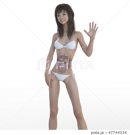 女性 解剖 筋肉 3DCG イラスト素材 女性 解剖 筋肉 3DCG イラスト素材 47744334