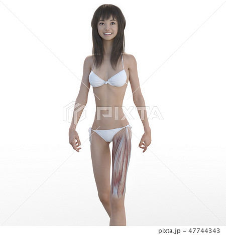 女性 解剖 筋肉 3dcg イラスト素材のイラスト素材 女性 解剖 筋肉 3dcg イラスト素材のイラスト素材