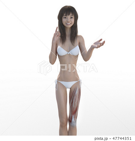 女性 解剖 筋肉 3DCG イラスト素材 女性 解剖 筋肉 3DCG イラスト素材 47744351
