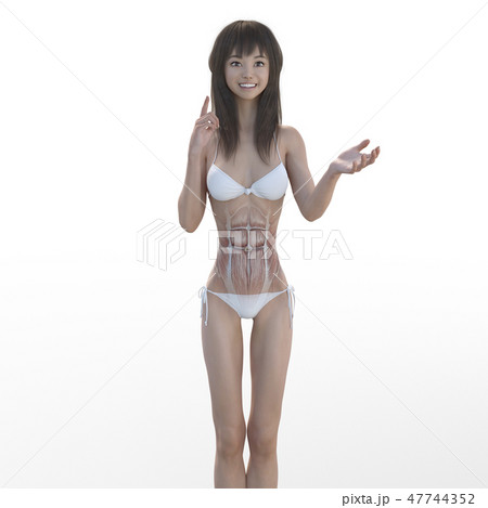 女性　解剖　筋肉　３DCG　イラスト素材 47744352