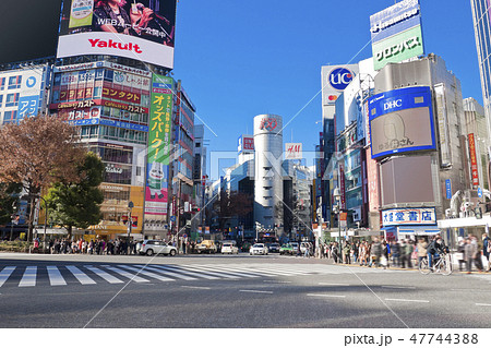 渋谷 スクランブル交差点の写真素材