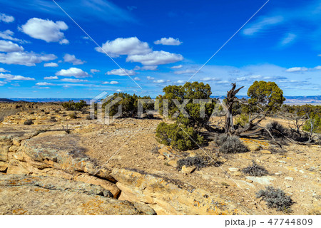 Top of the Ridge 47744809