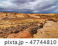 The Southwest Desert 47744810