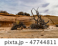 The Dry Southwest 47744811