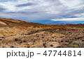 Southwest Desertscape 47744814