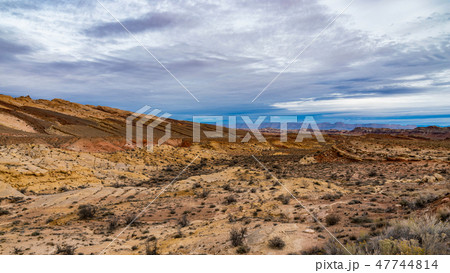 Southwest Desertscape 47744814