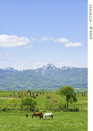 昆布岳　洞爺湖町 47745453