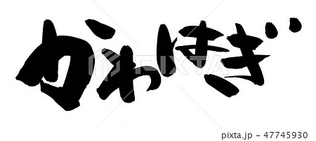 筆文字　かわはぎ　カワハギ　食べ物　イラスト 47745930