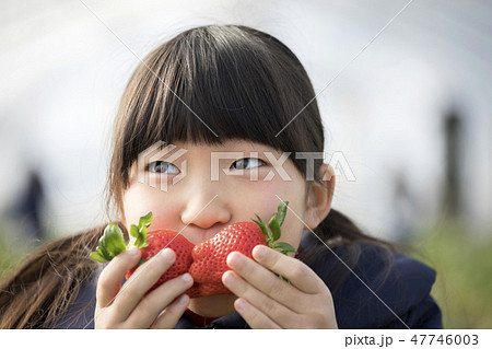 いちご狩りイメージ　苺でハートを作って見せる子供 47746003