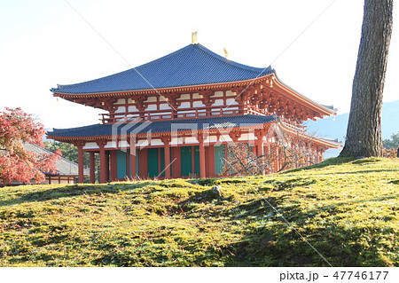 興福寺中金堂落慶　晩秋の興福寺境内 47746177