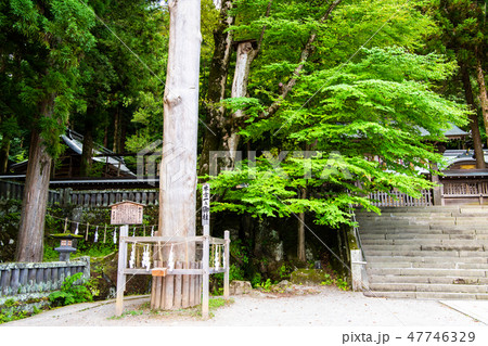 長野 諏訪大社 上社本宮 一之御柱 47746329