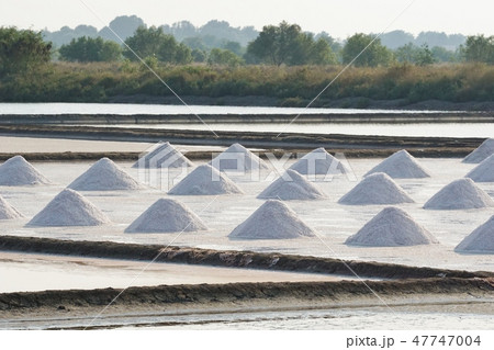 Salt Field in Samut Sakhon province, Thailand 47747004