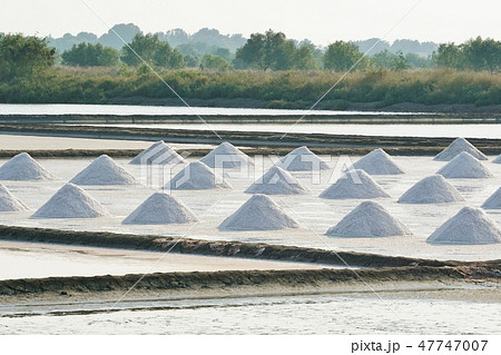 タイ王国塩田の風景、田園風景(Salt Farm) タイ王国塩田の風景、田園風景(Salt Farm) 47747007