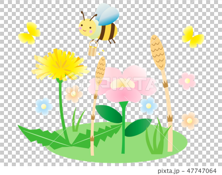 蜜蜂と植物 47747064