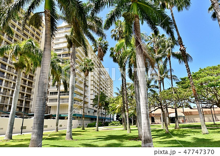 ハワイの休日 47747370