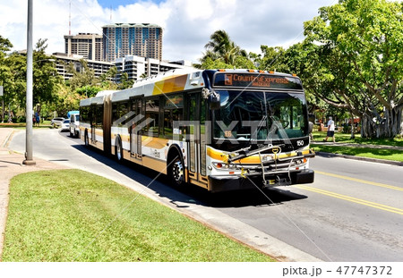 ハワイの休日 47747372