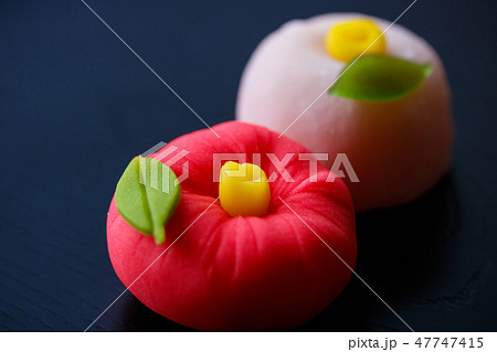 上生菓子・寒椿と玉椿 上生菓子・寒椿と玉椿 47747415