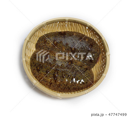 赤ナマコ 47747499