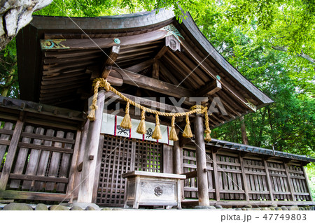 長野 諏訪大社 上社前宮 本殿 47749803