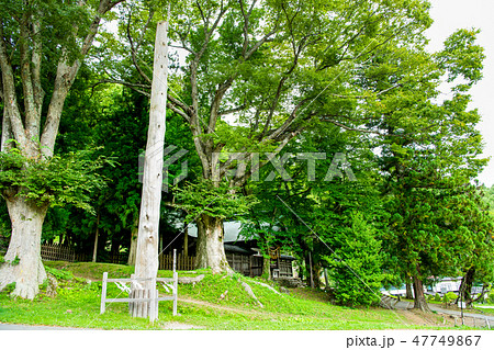 長野 諏訪大社 上社前宮 二之御柱と本殿 長野 諏訪大社 上社前宮 二之御柱と本殿 47749867